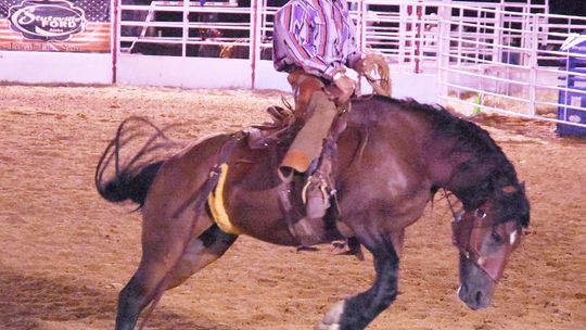 Atoka Trail Riders Host Annual Rodeo Weekend