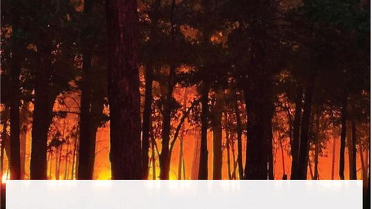 County Fire Departments Contain Wildfire North of Stringtown