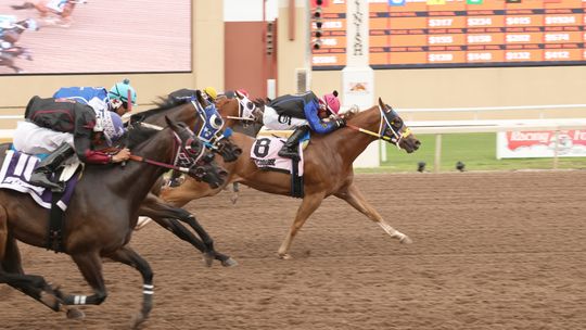 Cuz Eyema Cowboy Baby Wins Speedhorse Graham Paint and Appaloosa Stakes Under Jockey Roman Cruz