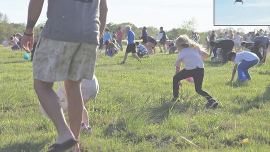 Eggs Fall from the Sky