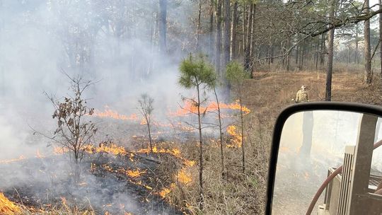 Firefighters Battle 300-Acre Wildfire on Halfbank Road