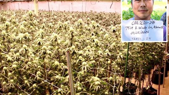 Oklahoma State Bureau of Narcotics Shutter Illegal Atoka Grow Operation