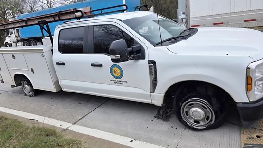 “What’s All the Fuss?”