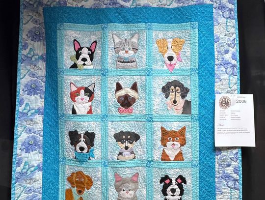 A Time to Sew Guild, OHCE Announce Divisional Winners from Annual Quilt Show