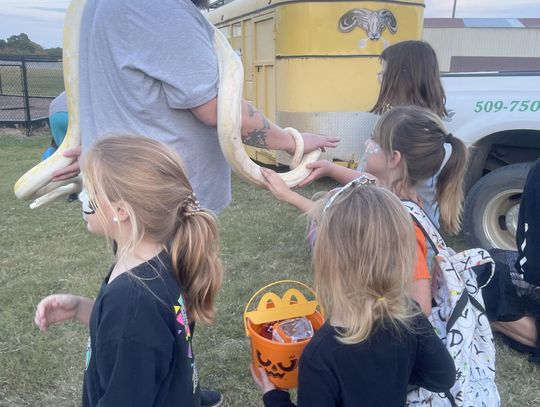 Atoka elementary students check out the boa constrictor at the Atoka Fall Festival Atoka elementary students check out the boa constrictor at the Atoka Fall Festival