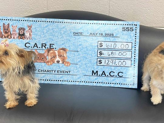 C.A.R.E.