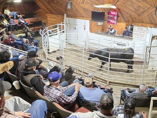 Community Connections: Southeastern Oklahoma Regional Stockyards