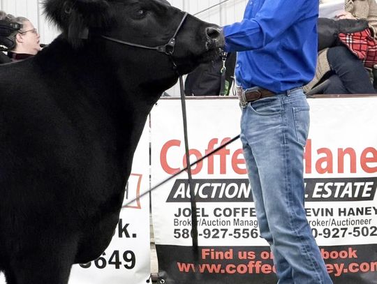 Cooper Hunt Is New Member of American Angus Association