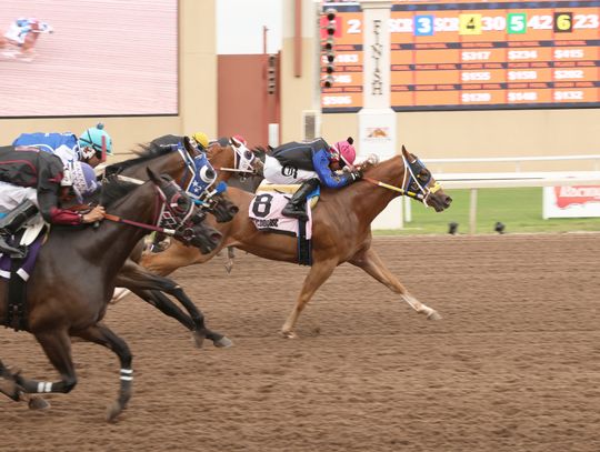 Cuz Eyema Cowboy Baby Wins Speedhorse Graham Paint and Appaloosa Stakes Under Jockey Roman Cruz