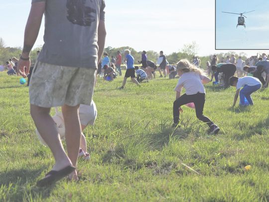 Eggs Fall from the Sky