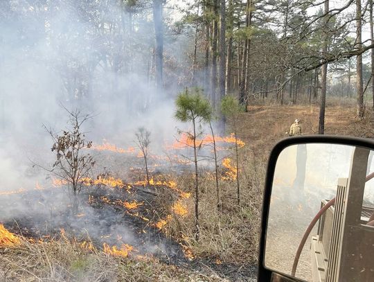 Firefighters Battle 300-Acre Wildfire on Halfbank Road