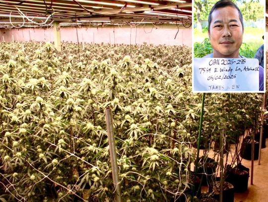 Oklahoma State Bureau of Narcotics Shutter Illegal Atoka Grow Operation