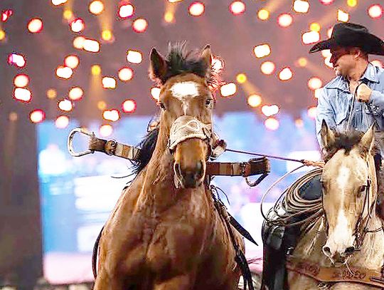 Pickup Man is a Jet-setter