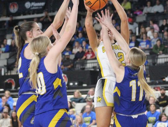 Stringtown defenders