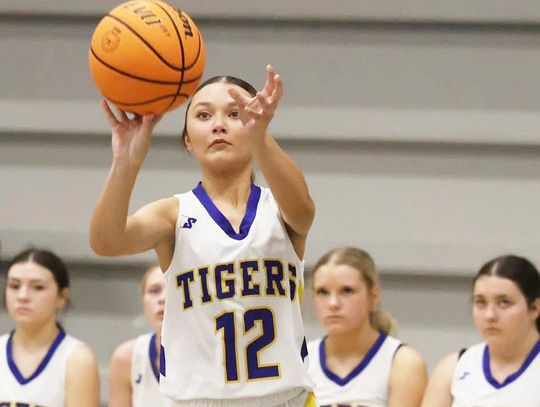 Stringtown Handles Achille at Home