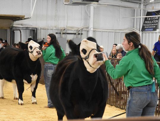 Students from across the county gathered today for the Atoka County Junior Livestock Show