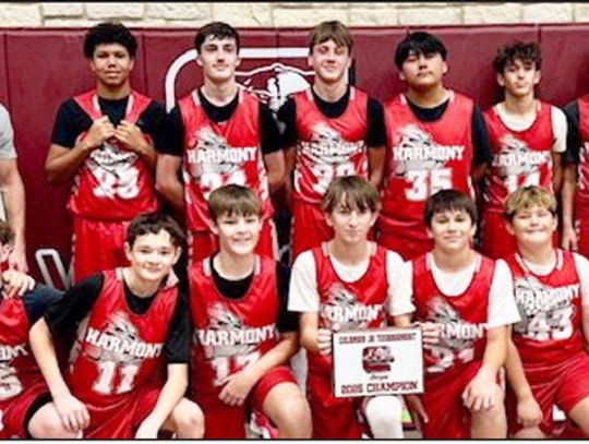 The Harmony Bulldogs