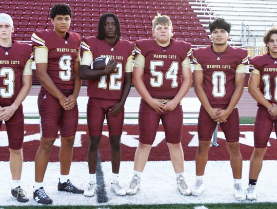 WAMPUS CAT SENIORS
