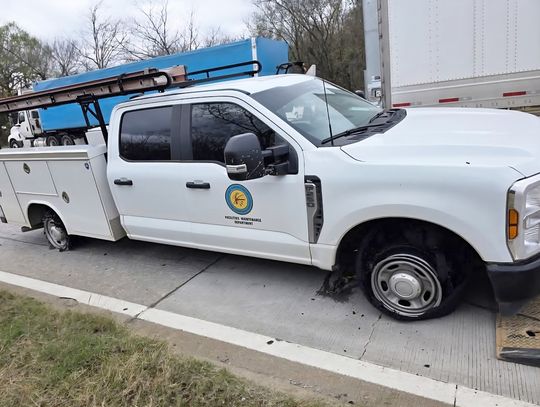 “What’s All the Fuss?”