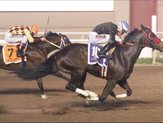 Zazas Hasta Luego Wins Oklahoma Paint and Appaloosa Juvenile at Remington Park Zazas Hasta Luego Wins Oklahoma Paint and Appaloosa Juvenile at Remington Park