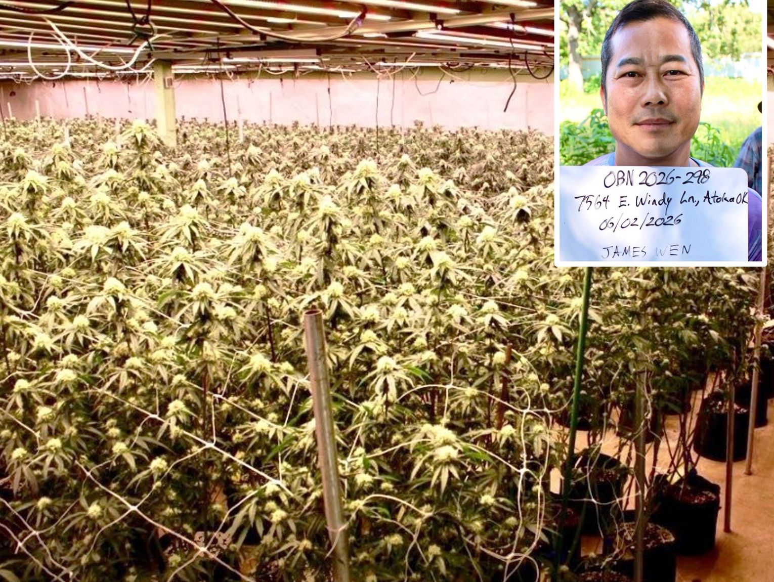 Oklahoma State Bureau of Narcotics Shutter Illegal Atoka Grow Operation