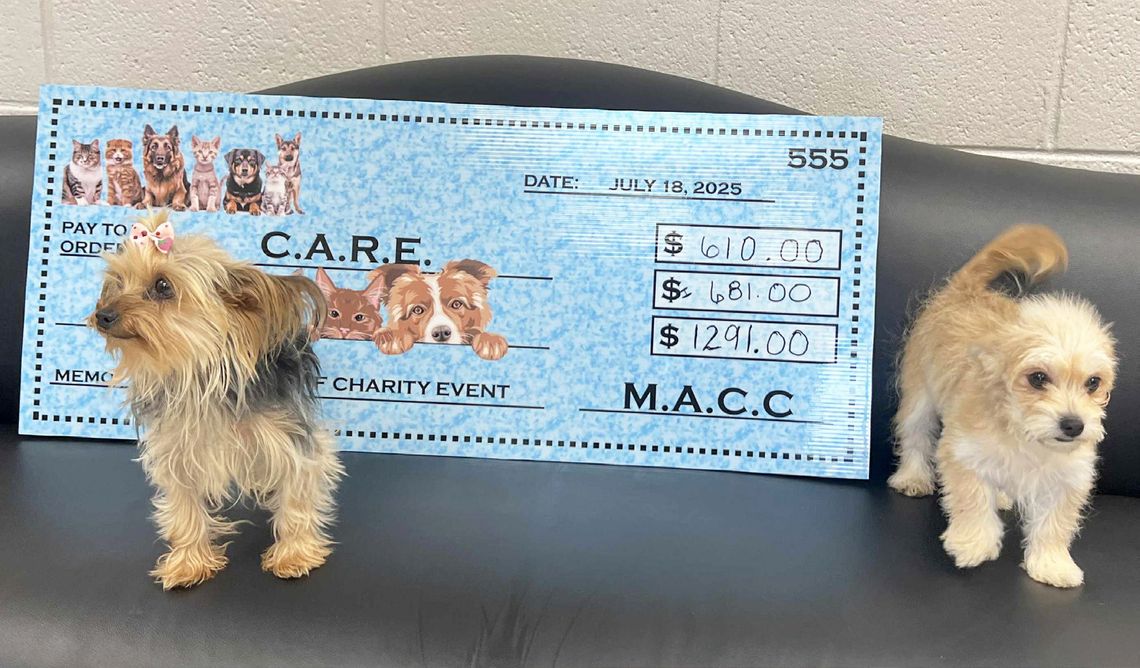 C.A.R.E.