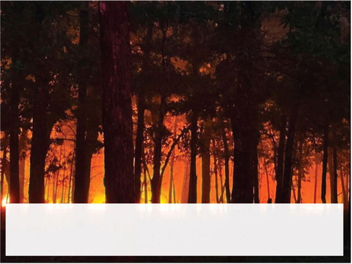 County Fire Departments Contain Wildfire North of Stringtown
