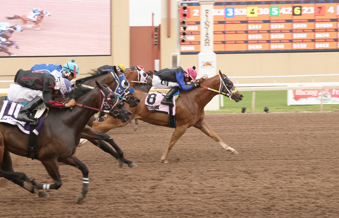 Cuz Eyema Cowboy Baby Wins Speedhorse Graham Paint and Appaloosa Stakes Under Jockey Roman Cruz
