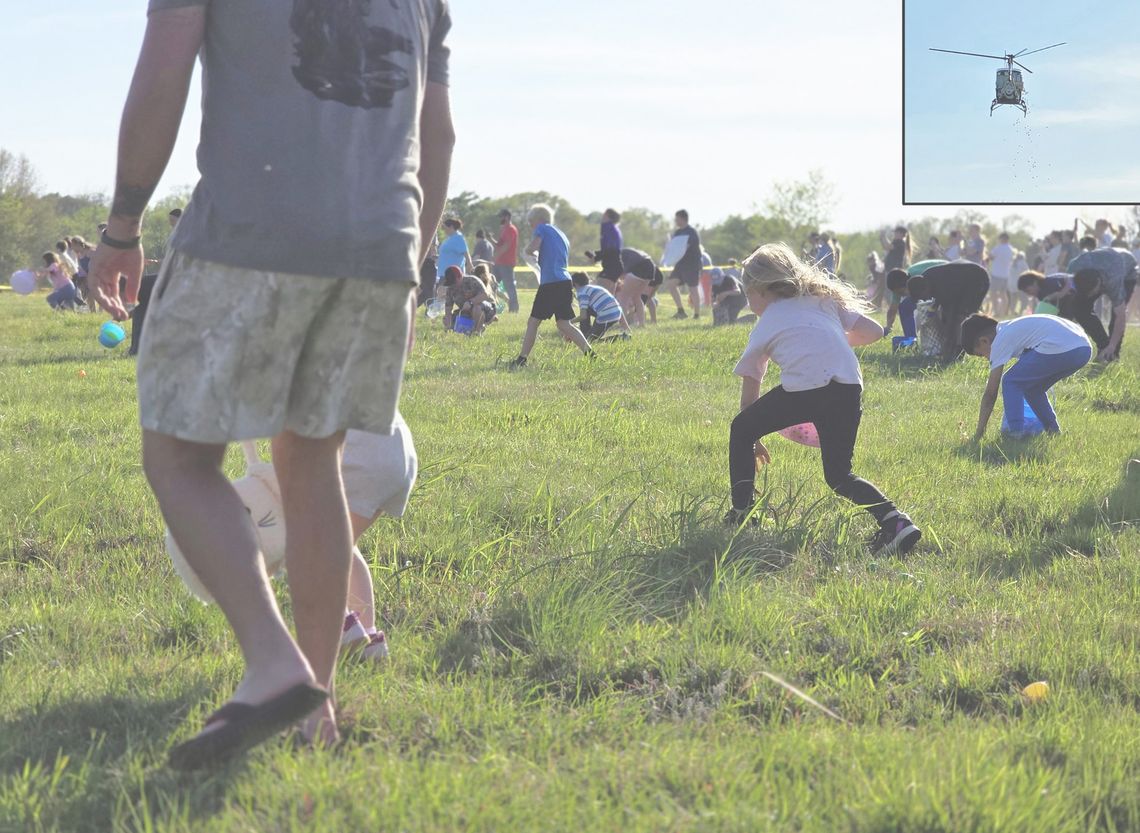 Eggs Fall from the Sky