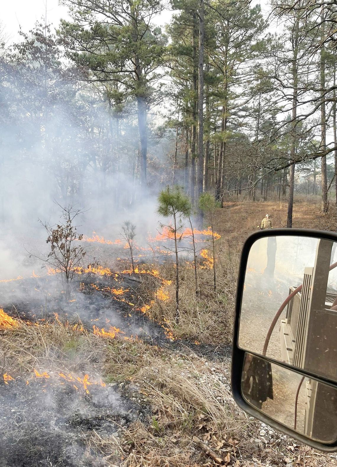 Firefighters Battle 300-Acre Wildfire on Halfbank Road