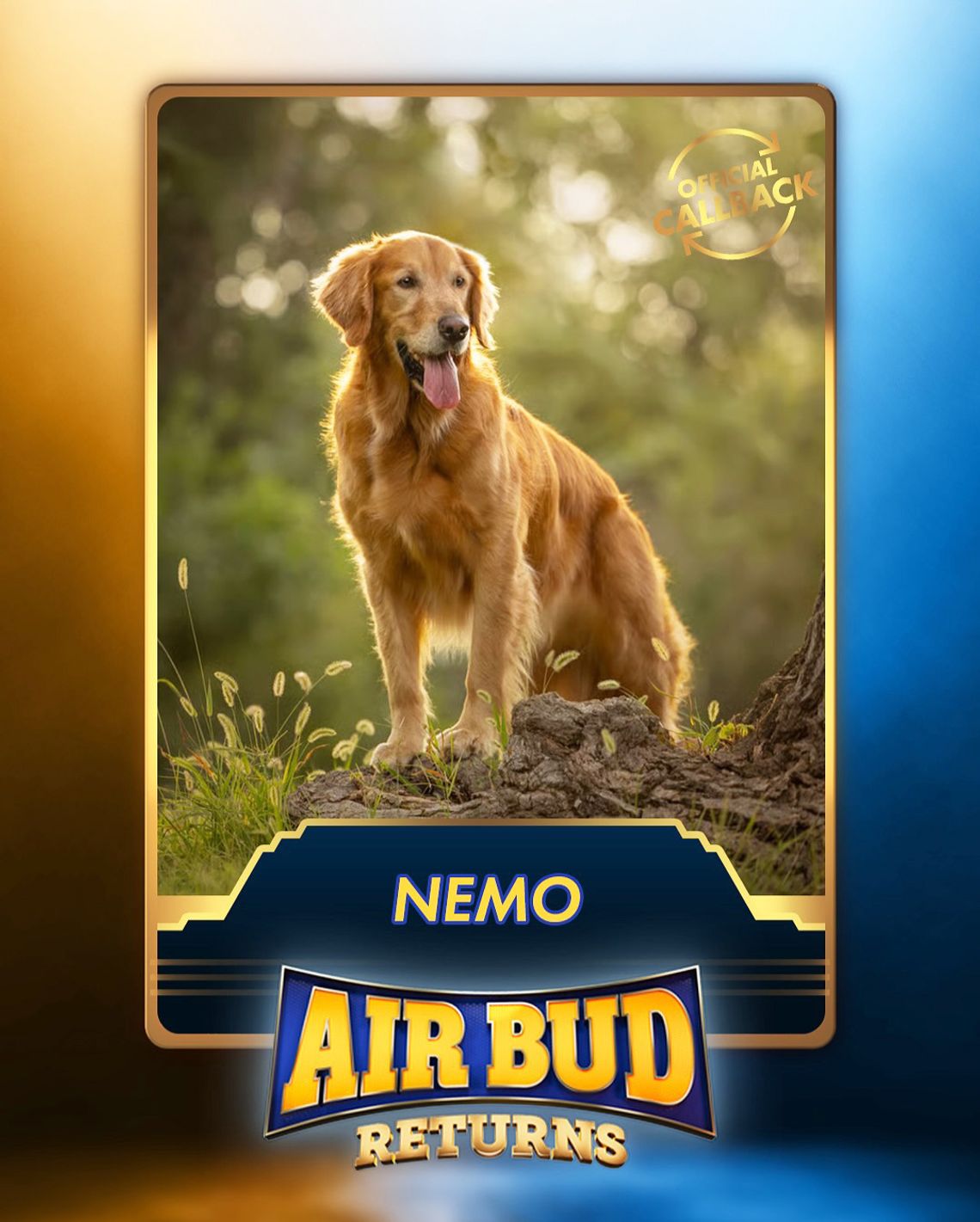 Local Therapy Dog is Finalist for 'Air Bud' Project