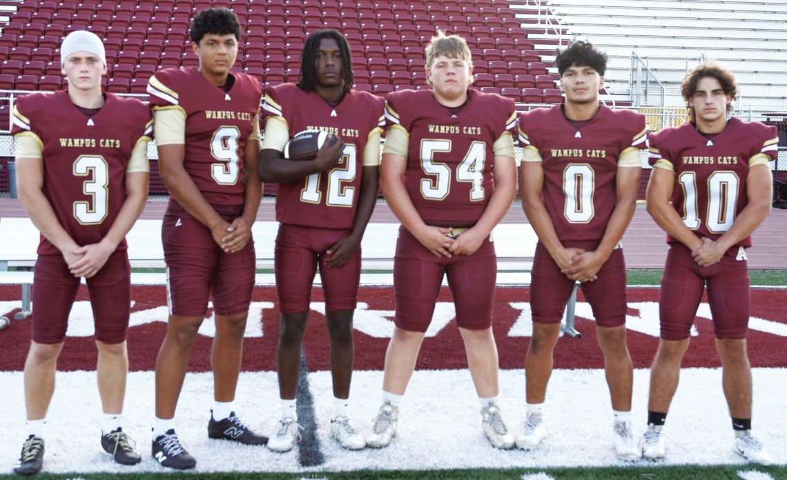 WAMPUS CAT SENIORS
